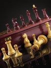Шахматы Стаунтон Люкс (амарант/самшит), ограниченная серия фото 4 — hichess.ru - шахматы, нарды, настольные игры