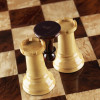 Шахматы Стаунтон Люкс (карельская береза/кокоболо) фото 9 — hichess.ru - шахматы, нарды, настольные игры