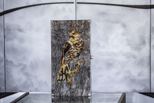 Нарды Сокол (Восток, малые) — hichess.ru - шахматы, нарды, настольные игры