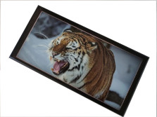 Нарды подарочные длинные деревянные Амурский тигр большие 60 на 60 см — hichess.ru - шахматы, нарды, настольные игры