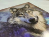 Нарды деревянные подарочные Волк и Орел средние 50 на 50 см фото 4 — hichess.ru - шахматы, нарды, настольные игры