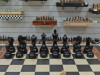 Шахматы подарочные из мореного дуба в ларце с фигурами Гамбит Люкс фото 7 — hichess.ru - шахматы, нарды, настольные игры