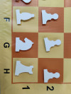 Шахматы в тубусе демонстрационные доска (80 см) фото 3 — hichess.ru - шахматы, нарды, настольные игры