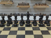 Шахматы подарочные Гамбит мореный дуб большие фото 6 — hichess.ru - шахматы, нарды, настольные игры