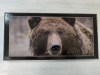 Нарды деревянные Медведь 50 на 50 см черные фото 1 — hichess.ru - шахматы, нарды, настольные игры