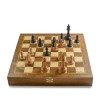 Шахматы ларец Авангард с утяжелением фото 1 — hichess.ru - шахматы, нарды, настольные игры