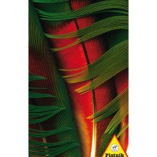 Пазл Перо попугая 1000 элементов — hichess.ru - шахматы, нарды, настольные игры