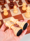 Шахматы турнирные Стаунтон 6 для детей и взрослых с ячейками фото 5 — hichess.ru - шахматы, нарды, настольные игры