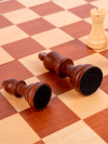Шахматы турнирные Стаунтон 6 для детей и взрослых с ячейками фото 6 — hichess.ru - шахматы, нарды, настольные игры