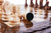 Шахматы резные с Араратом, ручкой и ложементом 50, Haleyan фото 8 — hichess.ru - шахматы, нарды, настольные игры