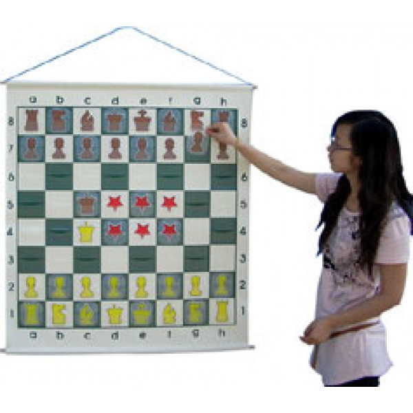 Большая виниловая демонстрационная доска с кармашками фото 1 — hichess.ru - шахматы, нарды, настольные игры