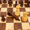 Шахматный ларец Эндшпиль орех большие фото 4 — hichess.ru - шахматы, нарды, настольные игры