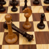 Шахматы ларец Элеганс орех фото 2 — hichess.ru - шахматы, нарды, настольные игры