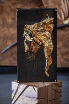 Нарды Конь (Классика) — hichess.ru - шахматы, нарды, настольные игры