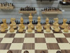 Шахматный стол подарочный с фигурами из самшита и палисандра фото 3 — hichess.ru - шахматы, нарды, настольные игры